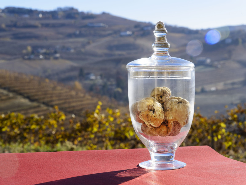 Immagine descrittiva - BY [Maurizio Milanesio]/123RF