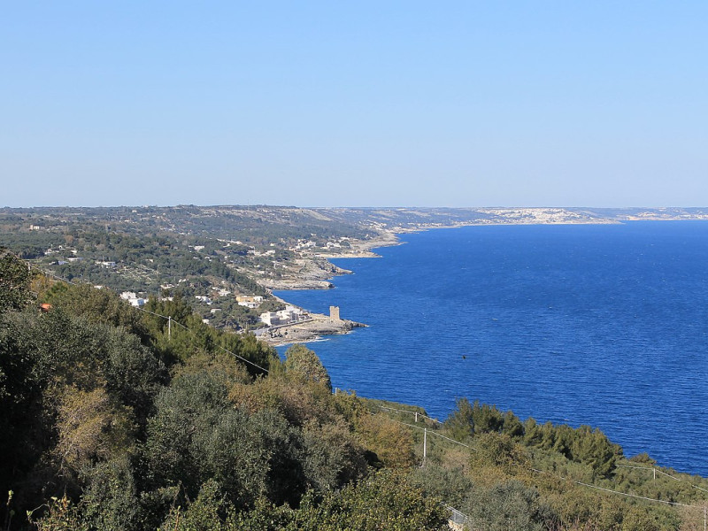 Immagine descrittiva - CC BY-SA Di Patrick Nouhailler's…, CC BY-SA 3.0, https://commons.wikimedia.org/w/index.php?curid=54565189 Immagine descrittiva - CC BY-SA Di Patrick Nouhailler's…, CC BY-SA 3.0, https://commons.wikimedia.org/w/index.php?curid=54565189