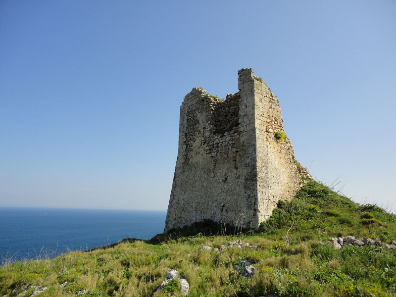 Immagine descrittiva - CC BY-SA Di Patrick Nouhailler's…, CC BY-SA 3.0, https://commons.wikimedia.org/w/index.php?curid=54565189 Immagine descrittiva - CC BY-SA Di Patrick Nouhailler's…, CC BY-SA 3.0, https://commons.wikimedia.org/w/index.php?curid=54565189