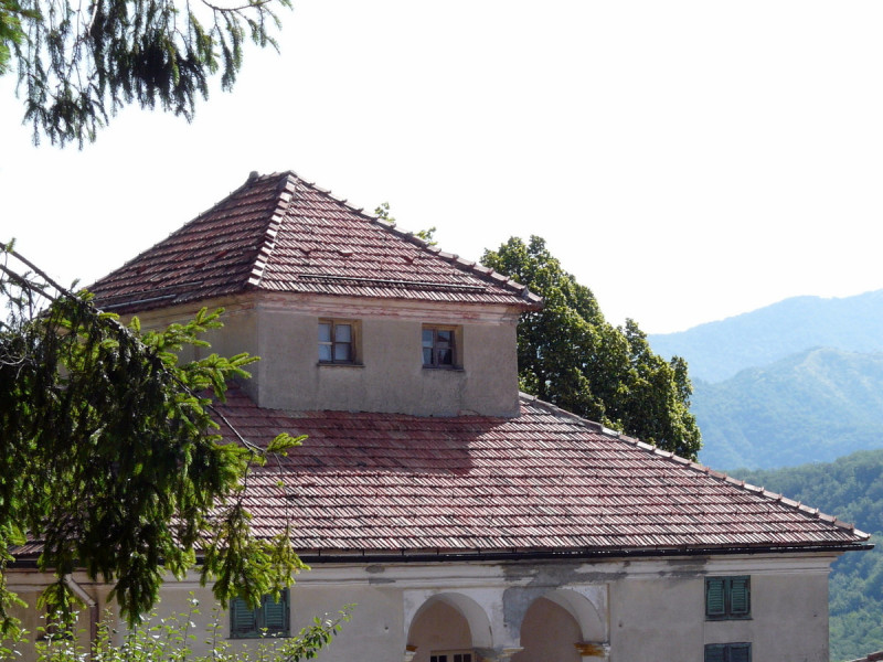 Immagine descrittiva - CC BY-SA Di Davide Papalini - Opera propria, CC BY-SA 3.0, https://commons.wikimedia.org/w/index.php?curid=27485602 Immagine descrittiva - CC BY-SA Di Davide Papalini - Opera propria, CC BY-SA 3.0, https://commons.wikimedia.org/w/index.php?curid=27485602