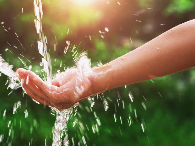 Immagine descrittiva - BY  [PAPAN SAENKUTRUEANG]/123rf 