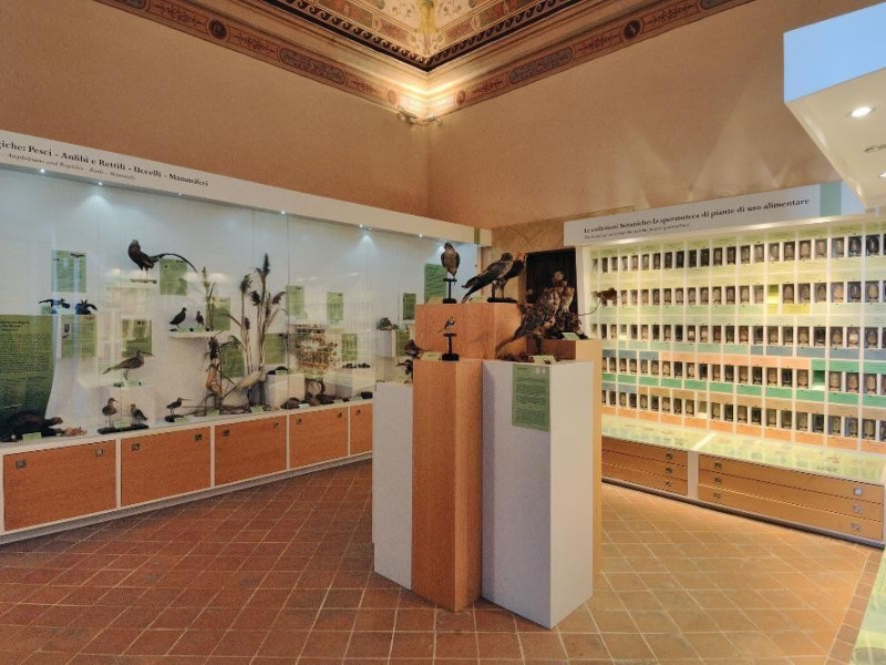 Museo di storia naturale e del territorio (Pa Fedeli, Marcello; jpg; 2126 pixels; 1417 pixels Museo di storia naturale e del territorio (Pa Fedeli, Marcello; jpg; 2126 pixels; 1417 pixels
