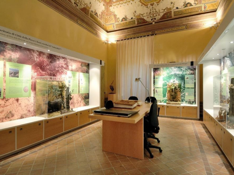 Museo di storia naturale e del territorio (Pa Fedeli, Marcello; jpg; 2126 pixels; 1417 pixels Museo di storia naturale e del territorio (Pa Fedeli, Marcello; jpg; 2126 pixels; 1417 pixels