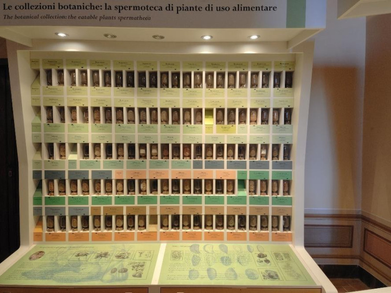 Museo di storia naturale e del territorio (Pa Fedeli, Marcello; jpg; 2126 pixels; 1417 pixels Museo di storia naturale e del territorio (Pa Fedeli, Marcello; jpg; 2126 pixels; 1417 pixels