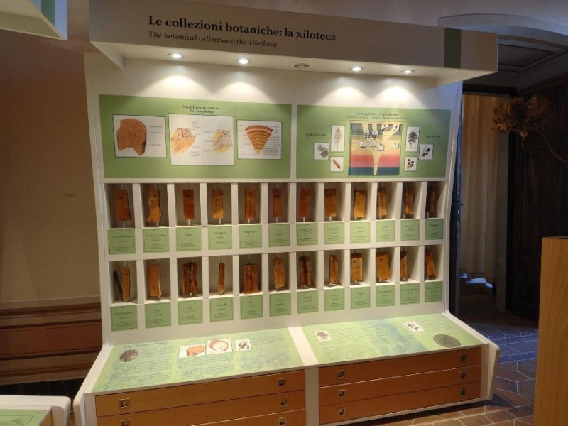 Museo di storia naturale e del territorio (Pa Fedeli, Marcello; jpg; 2126 pixels; 1417 pixels Museo di storia naturale e del territorio (Pa Fedeli, Marcello; jpg; 2126 pixels; 1417 pixels