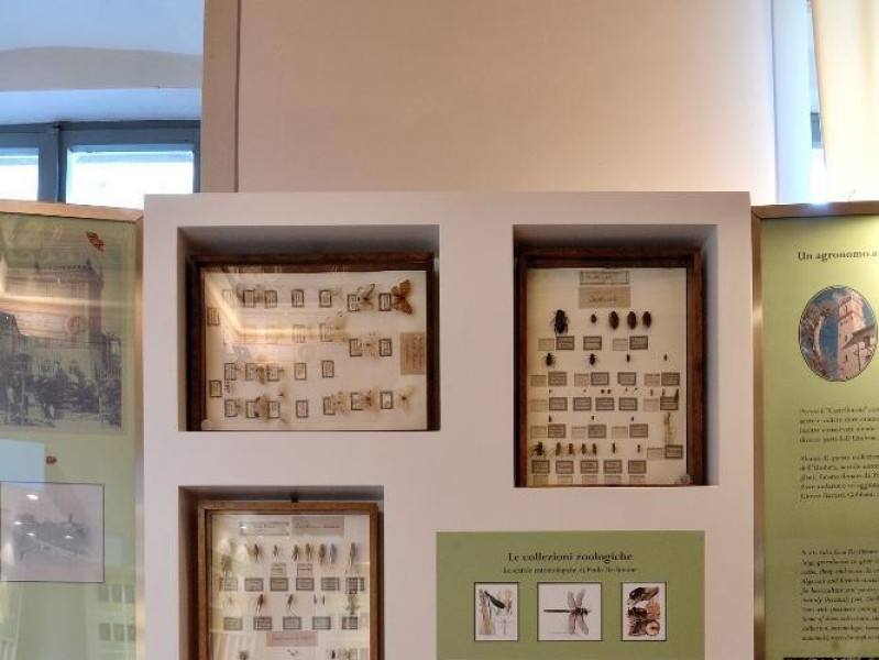 Museo di storia naturale e del territorio (Pa Fedeli, Marcello; jpg; 1417 pixels; 2126 pixels Museo di storia naturale e del territorio (Pa Fedeli, Marcello; jpg; 1417 pixels; 2126 pixels