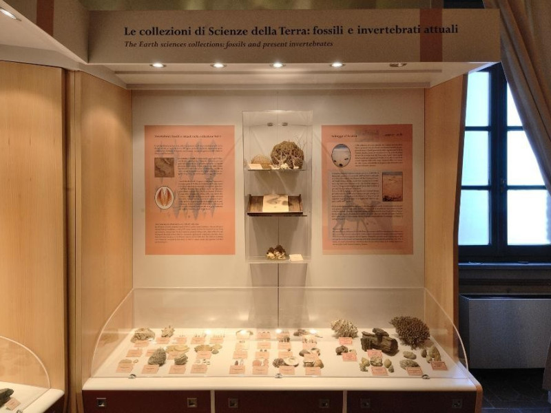 Museo di storia naturale e del territorio (Pa Fedeli, Marcello; jpg; 2126 pixels; 1417 pixels Museo di storia naturale e del territorio (Pa Fedeli, Marcello; jpg; 2126 pixels; 1417 pixels