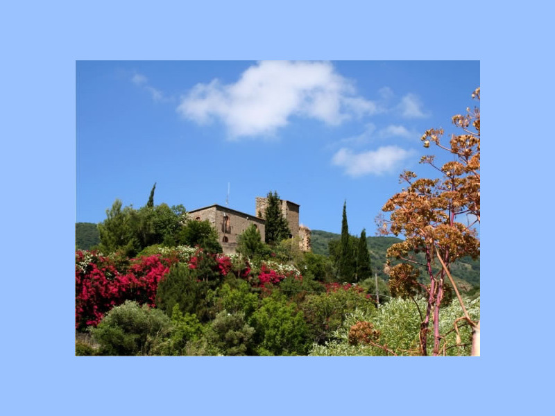 Immagine descrittiva - BY http://www.trattoriaborrello.it/azienda.php Immagine descrittiva - BY http://www.trattoriaborrello.it/azienda.php