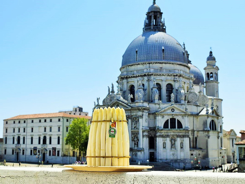 Asparagi di Bassano dove e come mangiarli Asparagi di Bassano dove e come mangiarli