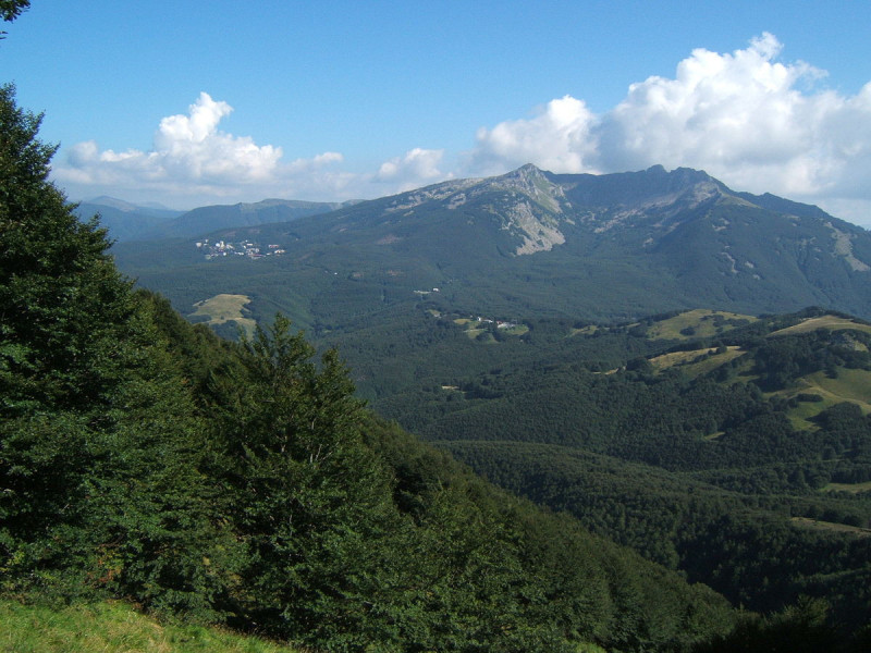 Immagine descrittiva - CC BY-SA By Hm8011 - Own work, CC BY-SA 3.0, https://commons.wikimedia.org/w/index.php?curid=12852299 Immagine descrittiva - CC BY-SA By Hm8011 - Own work, CC BY-SA 3.0, https://commons.wikimedia.org/w/index.php?curid=12852299