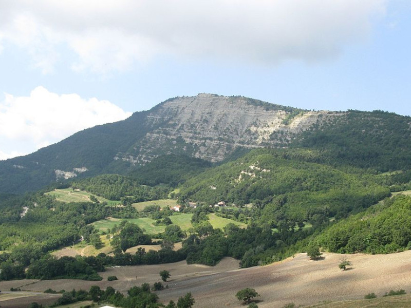 Immagine descrittiva - CC BY Di Toni Pecoraro - Opera propria, Pubblico dominio, https://commons.wikimedia.org/w/index.php?curid=7535538 Immagine descrittiva - CC BY Di Toni Pecoraro - Opera propria, Pubblico dominio, https://commons.wikimedia.org/w/index.php?curid=7535538
