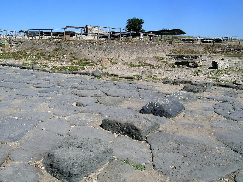 Area della città etrusco-romana di Vulci Area della città etrusco-romana di Vulci