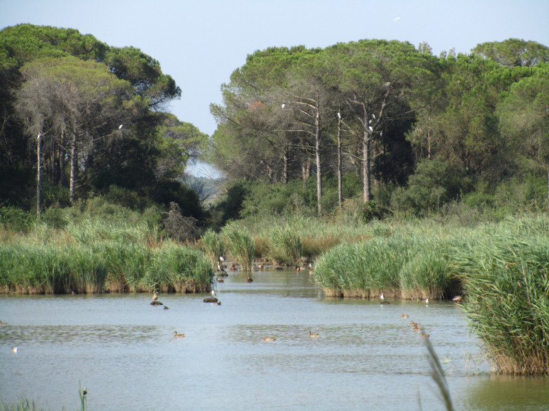 Immagine descrittiva - 