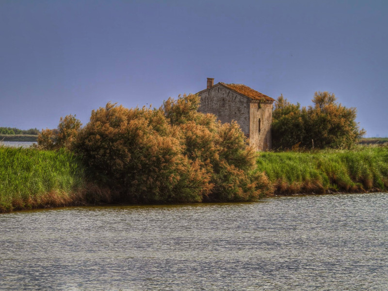 Immagine descrittiva - BY Di Carlo Pelagalli, CC BY-SA 3.0, https://commons.wikimedia.org/w/index.php?curid=57744792