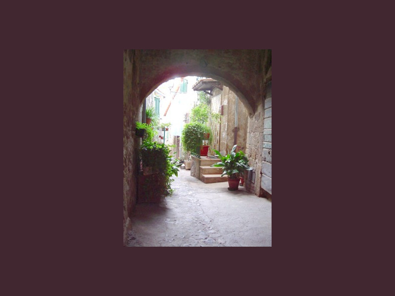 centro storico farnese