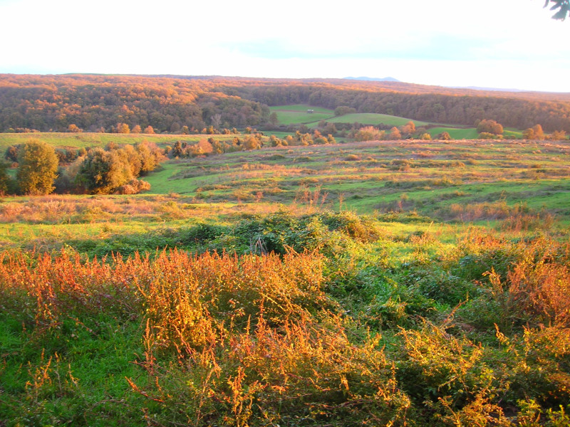 rnr selva del lamone rnr selva del lamone