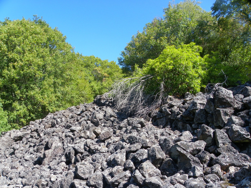 Abitato etrusco di Rofalco - Cisterna per raccolta acqua - RNR selva del lamone Abitato etrusco di Rofalco - Cisterna per raccolta acqua - RNR selva del lamone