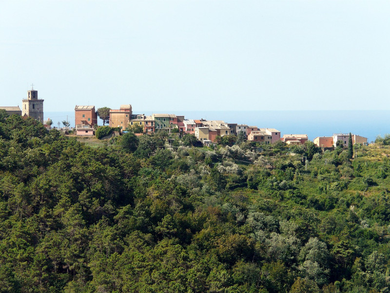 Immagine descrittiva - CC BY Di Davide Papalini - Opera propria, CC BY-SA 3.0, https://commons.wikimedia.org/w/index.php?curid=20382276 Immagine descrittiva - CC BY Di Davide Papalini - Opera propria, CC BY-SA 3.0, https://commons.wikimedia.org/w/index.php?curid=20382276