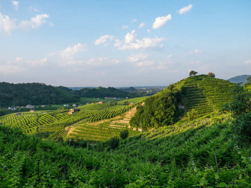 Immagine descrittiva - BY [Jeanette Teare/123.rf]