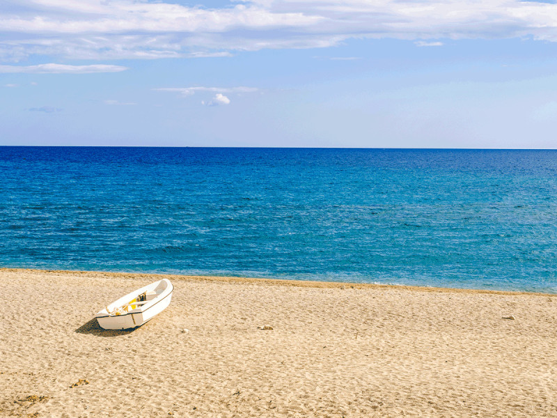 Immagine descrittiva - BY [jan_mach/Depositphotos]