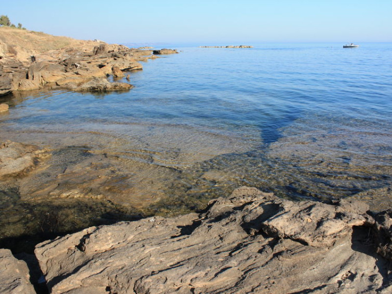 Immagine descrittiva - BY [Denise Serra/123rf]