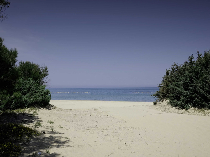 Immagine descrittiva - BY [ROBERTO PANGIARELLA/123rf]