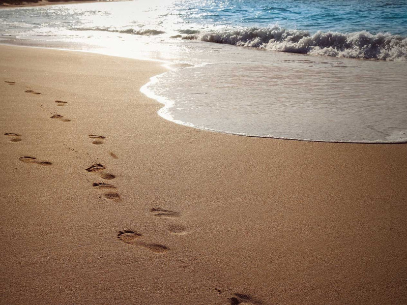 Immagine descrittiva - BY [Olya Adamovich/Pixabay]