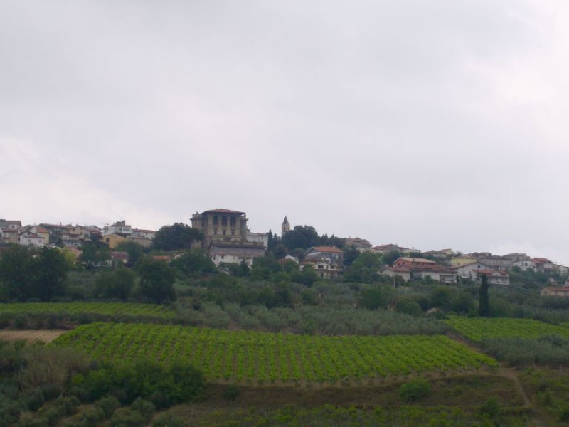 Immagine descrittiva - BY Di Marcobuccione di Wikipedia in italiano - Trasferito da it.wikipedia su Commons., CC BY-SA 3.0, https://commons.wikimedia.org/w/index.php?curid=2197480 Immagine descrittiva - BY Di Marcobuccione di Wikipedia in italiano - Trasferito da it.wikipedia su Commons., CC BY-SA 3.0, https://commons.wikimedia.org/w/index.php?curid=2197480
