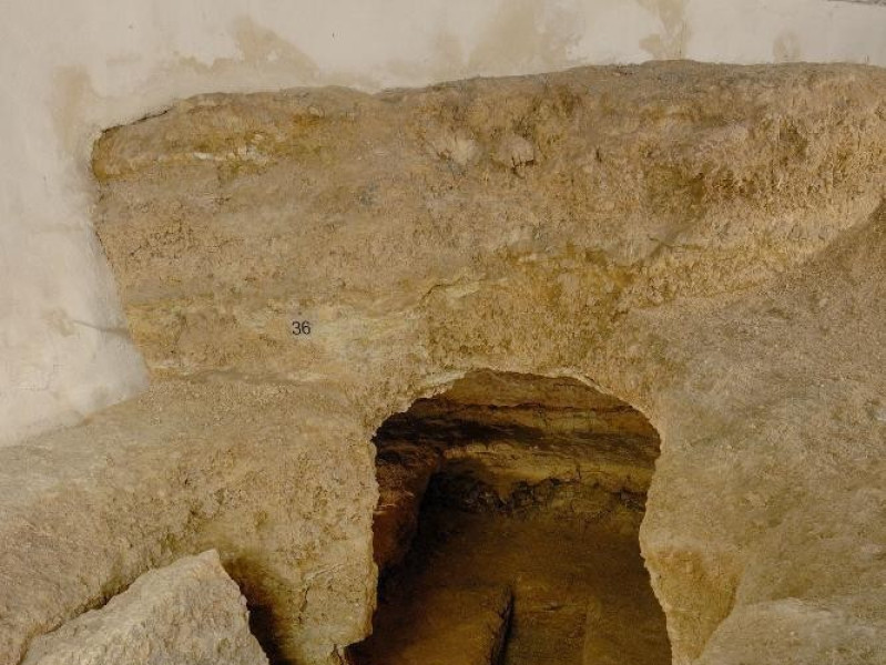 Scavi. Necropoli etrusca di Strozzacapponi.  Fedeli, Marcello; jpg; 1417 pixels; 2126 pixels