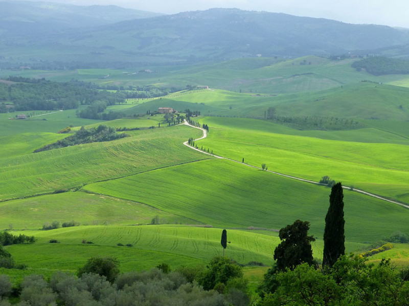 Immagine descrittiva - BY [Linda A./Pixabay]