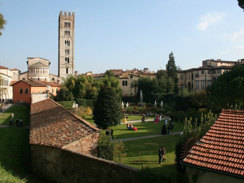 Immagine descrittiva - CC BY-SA Foto di Mikalu86 da Pixabay Immagine descrittiva - CC BY-SA Foto di Mikalu86 da Pixabay