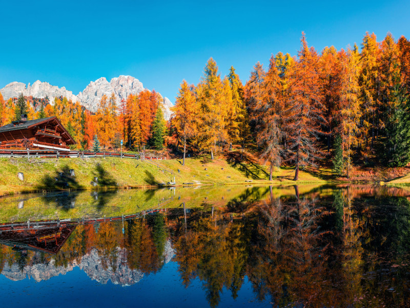 Immagine descrittiva - CC BY-SA [Andrew Mayovskyy/123rf]