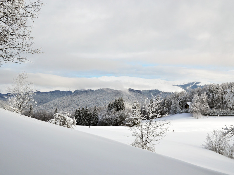 Immagine descrittiva - CC BY-SA Foto di Buvrix27 da Pixabay Immagine descrittiva - CC BY-SA Foto di Buvrix27 da Pixabay