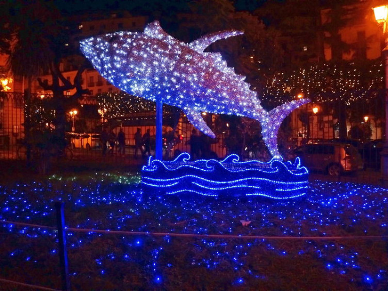 Immagine descrittiva - BY [Stefano Sansavini/123rf] 