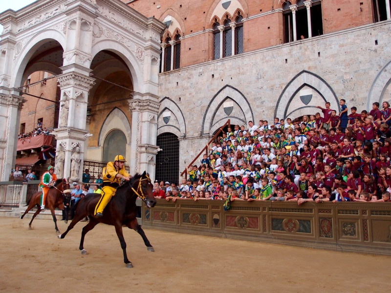 Immagine descrittiva - BY Foto di Anastasia Borisova da Pixabay Immagine descrittiva - BY Foto di Anastasia Borisova da Pixabay