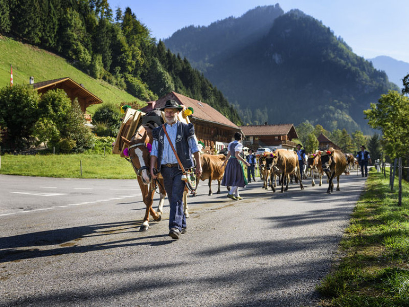 Immagine descrittiva - BY [Preve Beatrice/123rf] 