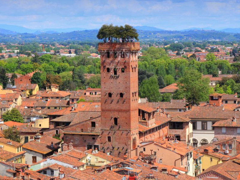 Immagine descrittiva - BY [tupungato/123rf] 