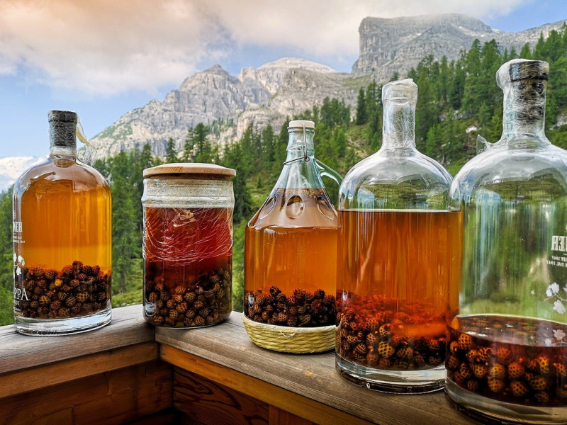 Immagine descrittiva - BY Foto di rottonara da Pixabay Immagine descrittiva - BY Foto di rottonara da Pixabay