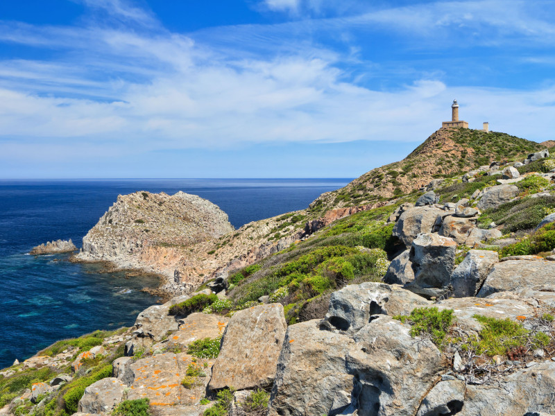 Immagine descrittiva - BY [123rf/antonioscarpi ]