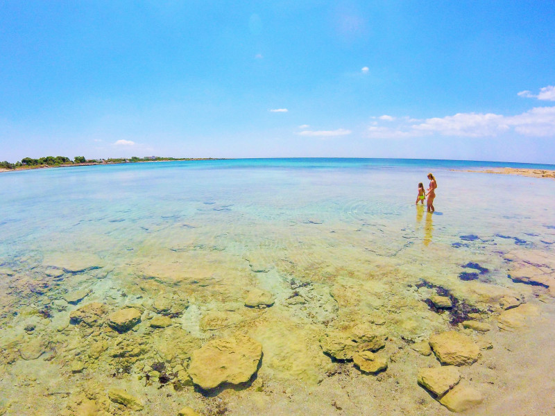 Immagine descrittiva - BY  [123rf/Michele Ursi] 