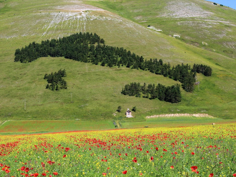 Immagine descrittiva - BY Foto di fausto manasse da Pixabay Immagine descrittiva - BY Foto di fausto manasse da Pixabay