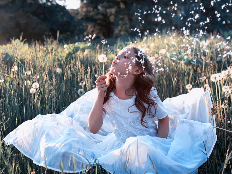 Immagine descrittiva - BY  [123rf/Kichigin Aleksandr] 