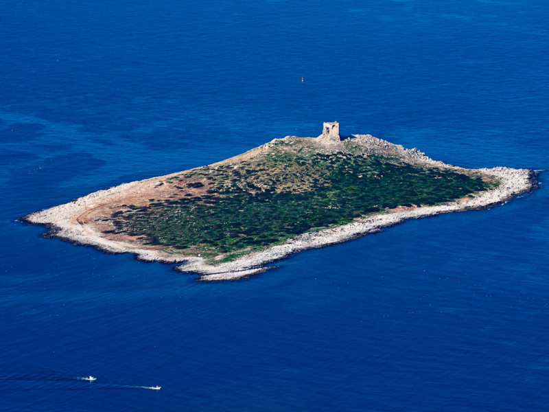 Immagine descrittiva - CC BY Di Carlo Columba from Palermo, Italia - Isola delle Femmine, CC BY 2.0, https://commons.wikimedia.org/w/index.php?curid=34545121 Immagine descrittiva - CC BY Di Carlo Columba from Palermo, Italia - Isola delle Femmine, CC BY 2.0, https://commons.wikimedia.org/w/index.php?curid=34545121