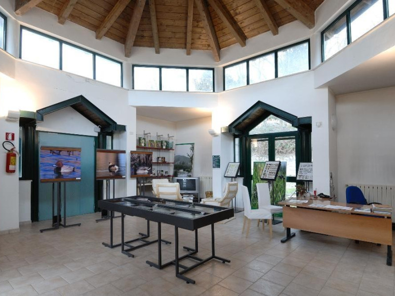 Museo naturalistico del parco di Colfiorito.  Fedeli, Marcello; jpg; 2126 pixels; 1417 pixels Museo naturalistico del parco di Colfiorito.  Fedeli, Marcello; jpg; 2126 pixels; 1417 pixels