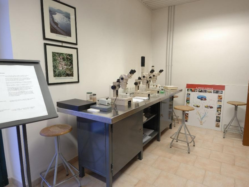 Museo naturalistico del parco di Colfiorito.  Fedeli, Marcello; jpg; 2126 pixels; 1417 pixels Museo naturalistico del parco di Colfiorito.  Fedeli, Marcello; jpg; 2126 pixels; 1417 pixels