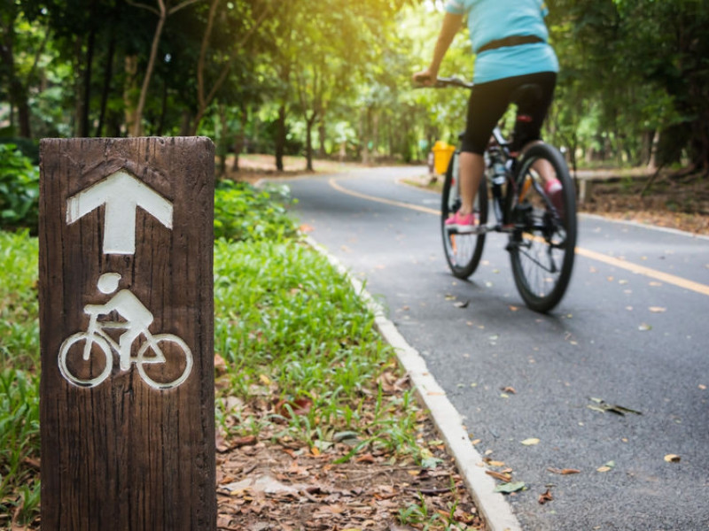 Immagine descrittiva - BY  [123rf/paza] 