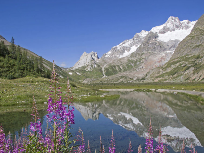 Immagine descrittiva - BY  [123rf/Christa Eder] 