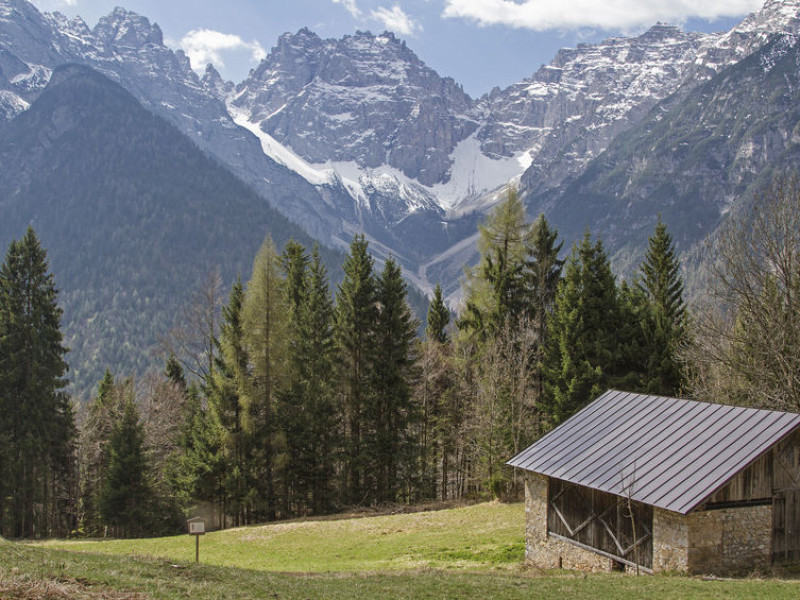 Immagine descrittiva - BY  [123rf/Christa Eder] 