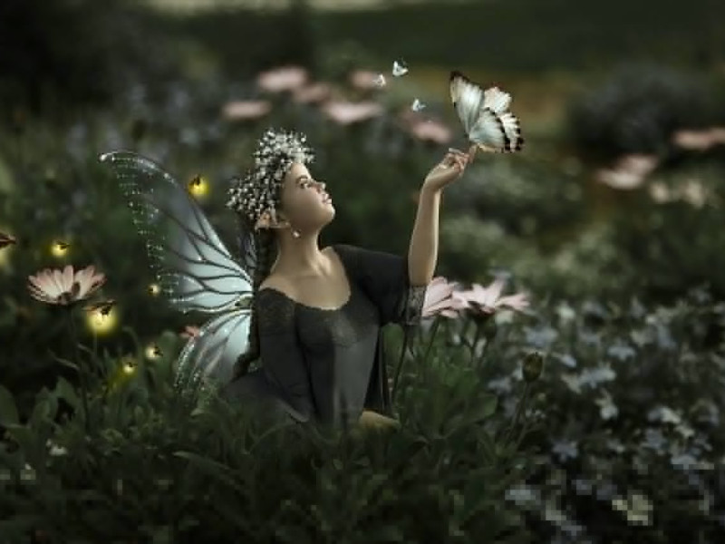 Immagine descrittiva - BY Foto di Willgard Krause da Pixabay Immagine descrittiva - BY Foto di Willgard Krause da Pixabay