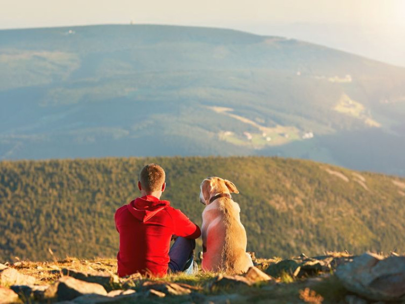 Immagine descrittiva - BY  [123rf/ Jaromir Chalabala] 